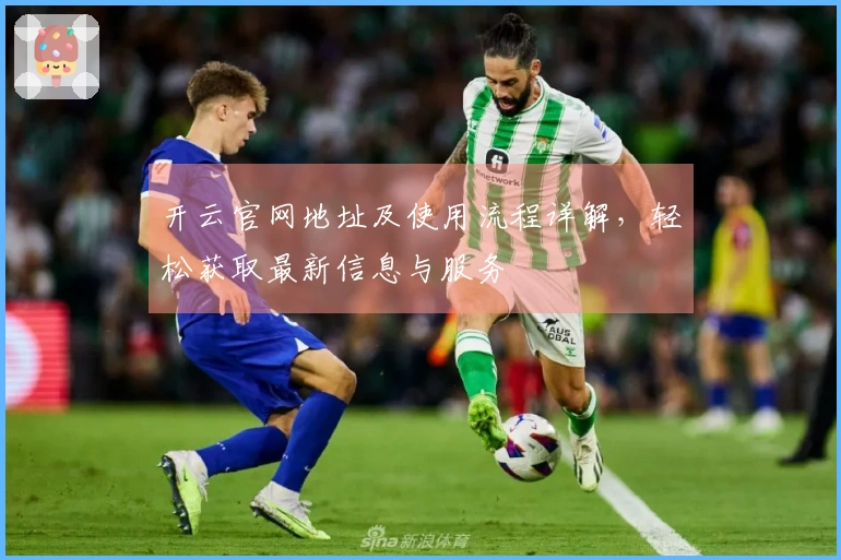 开云官网地址及使用流程详解，轻松获取最新信息与服务