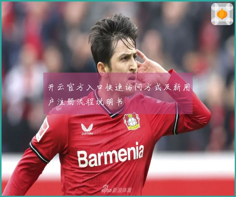 开云官方入口快速访问方式及新用户注册流程说明书