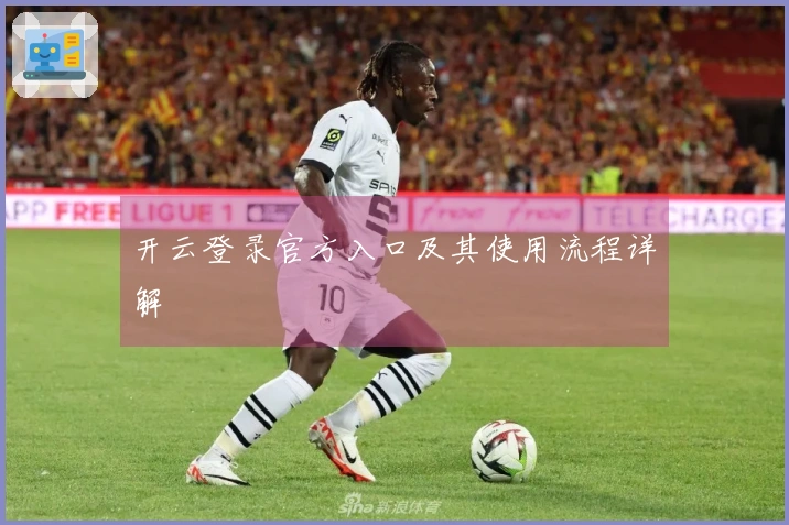 开云登录官方入口及其使用流程详解